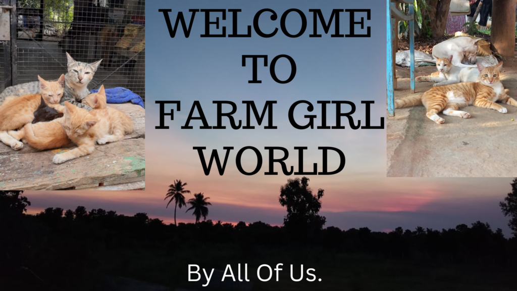 WELCOME TO FARM GIRL WORLD
By All Of Us.
